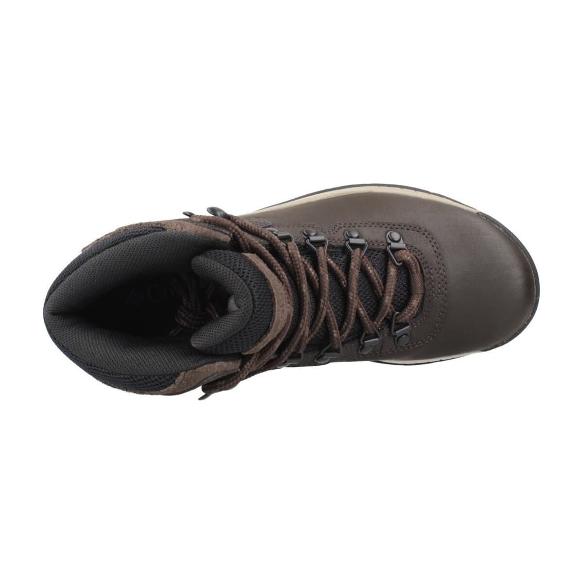 Women's Outdoor Shoes Columbia Brown