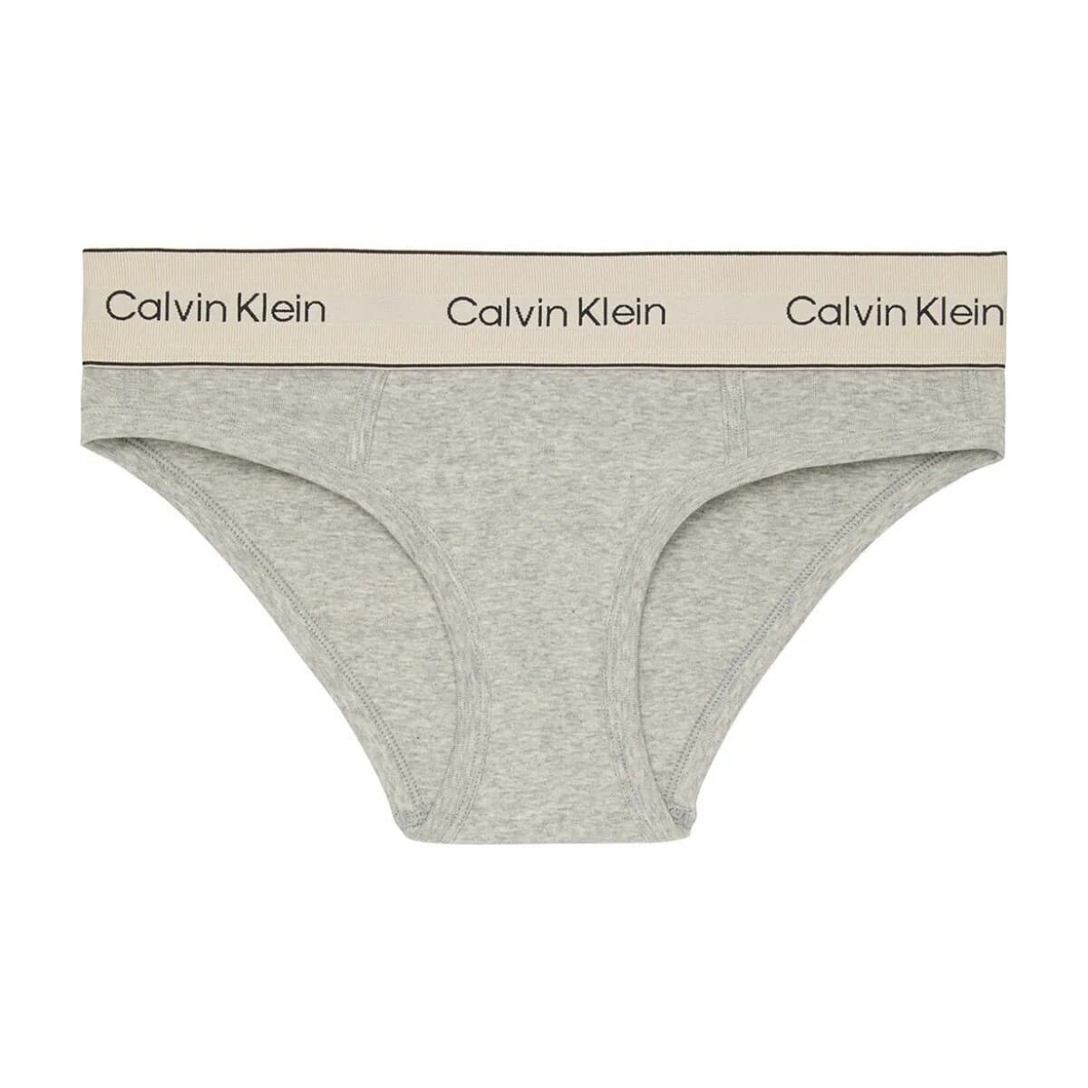 Women's Briefs Calvin Klein Gray