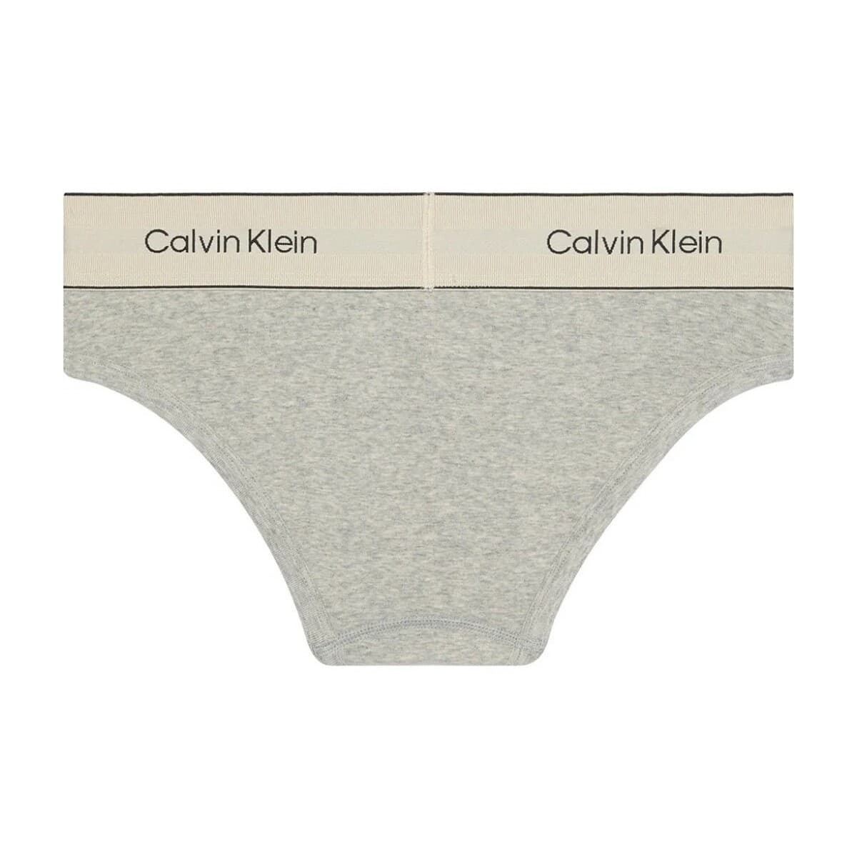 Women's Briefs Calvin Klein Gray