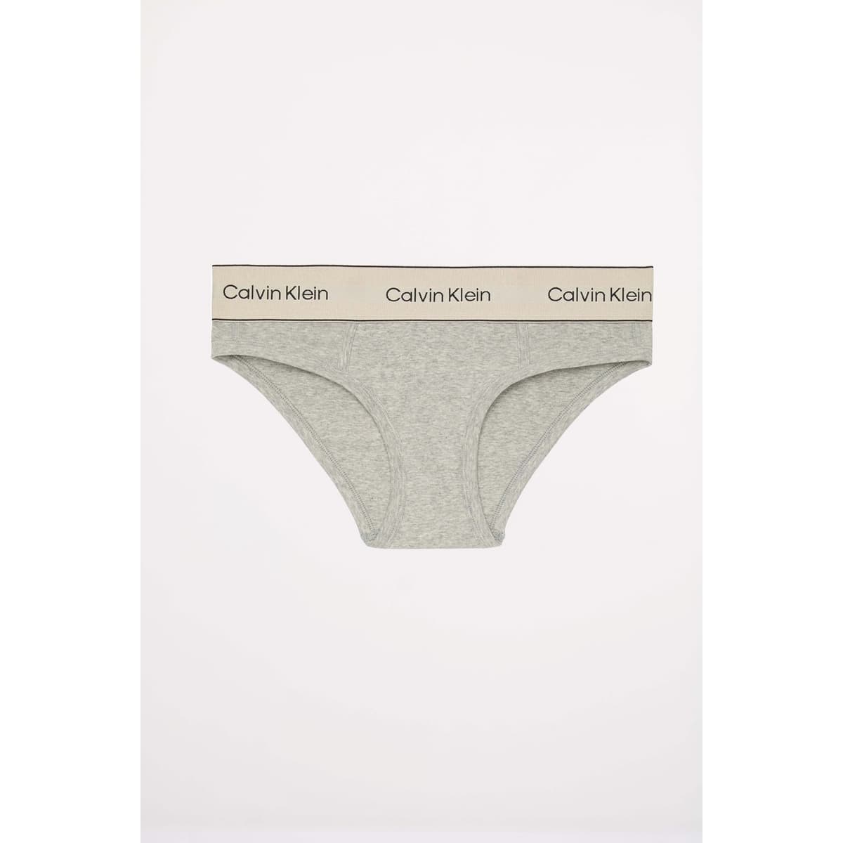 Women's Briefs Calvin Klein Gray