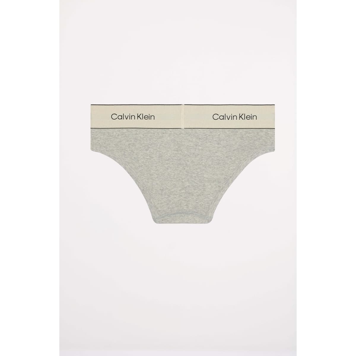 Women's Briefs Calvin Klein Gray