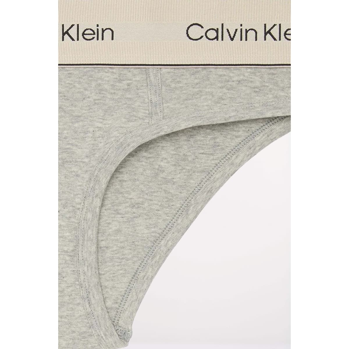 Women's Briefs Calvin Klein Gray