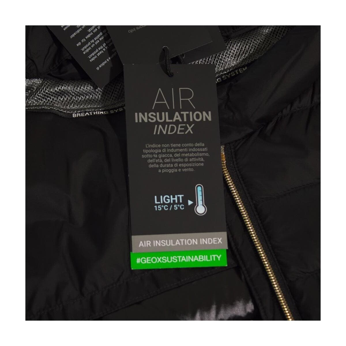 Women's Jackets Geox Black