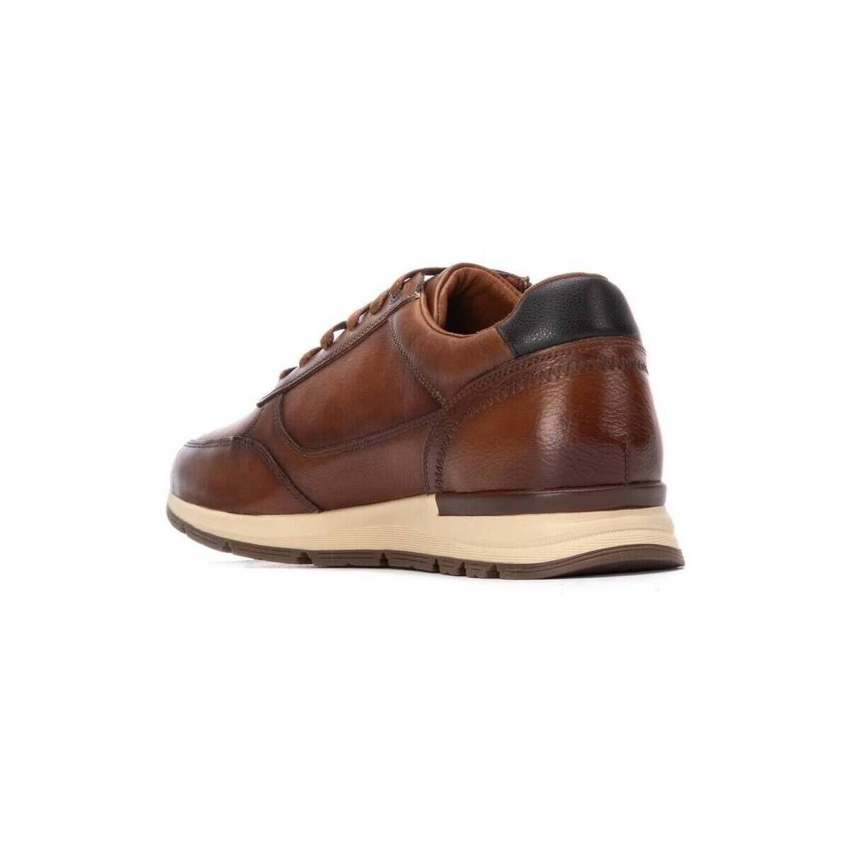 Men's Sneakers Carmela Brown