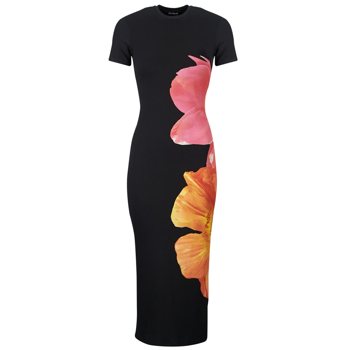 Women's Dresses Desigual Multicolor