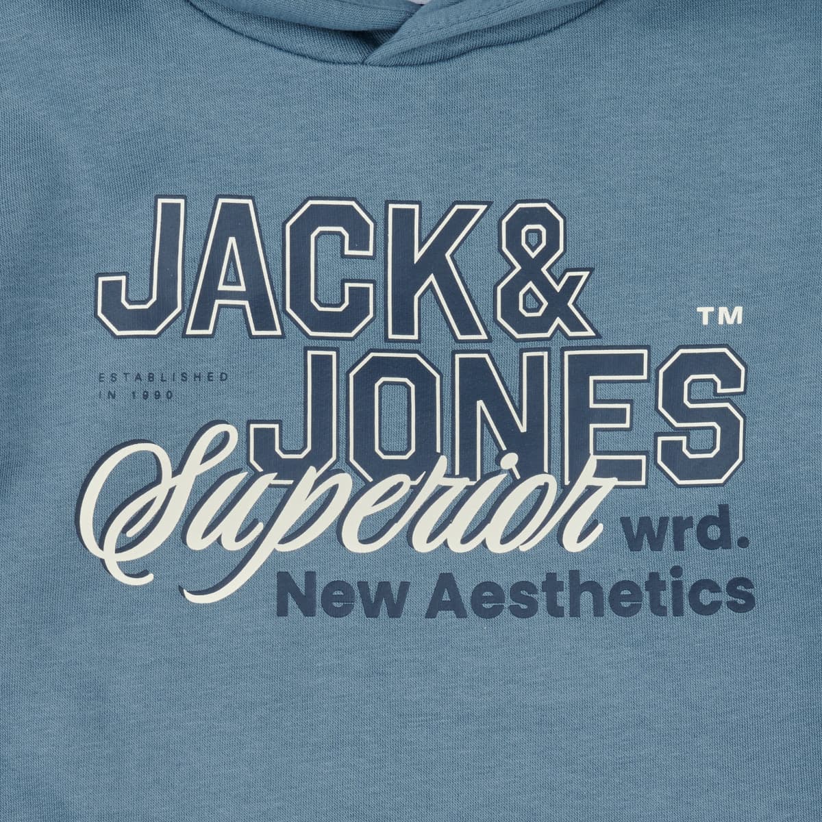 Boys' Hoodies & Sweatshirts Jack & Jones Blue