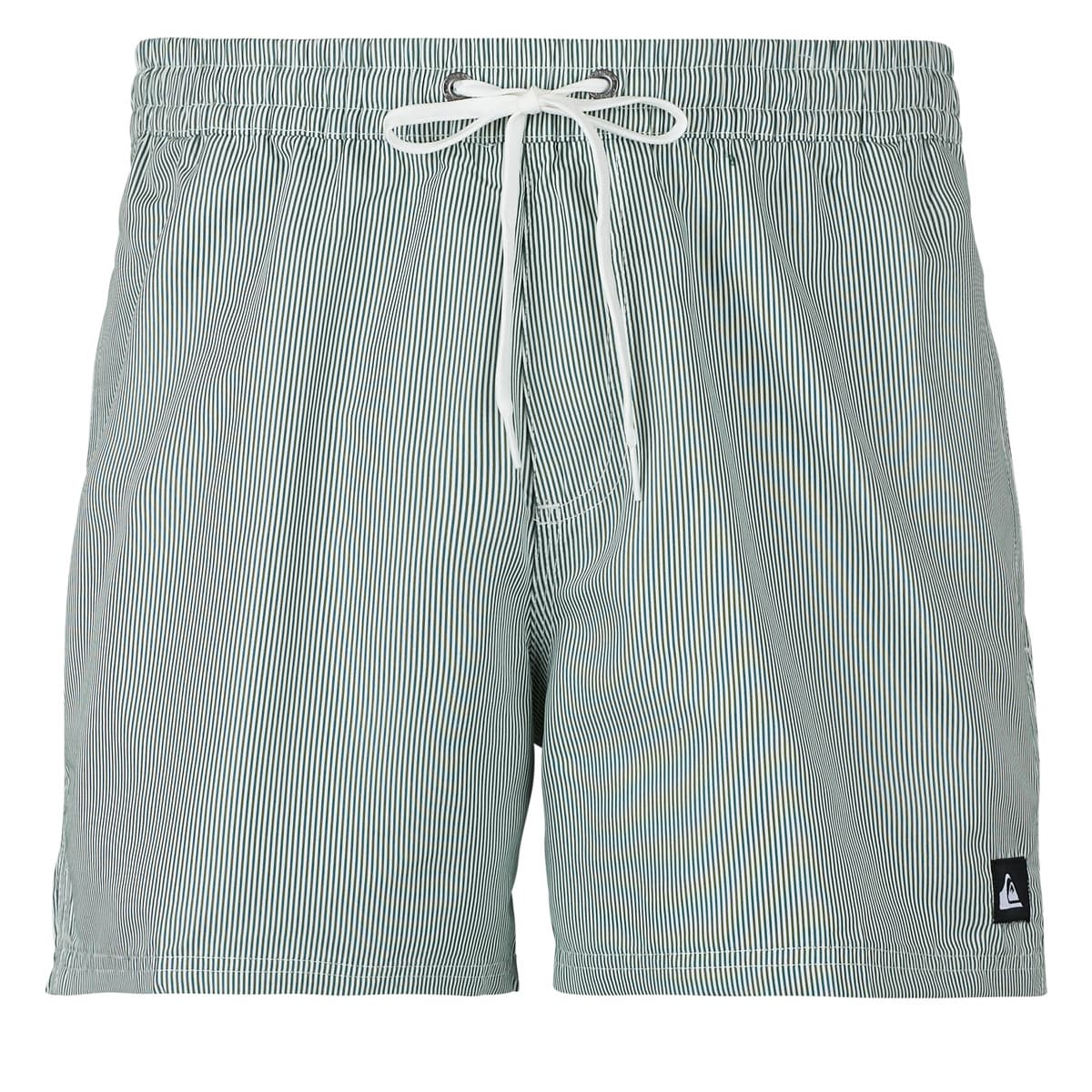 Men's Swimwear Quiksilver Blue
