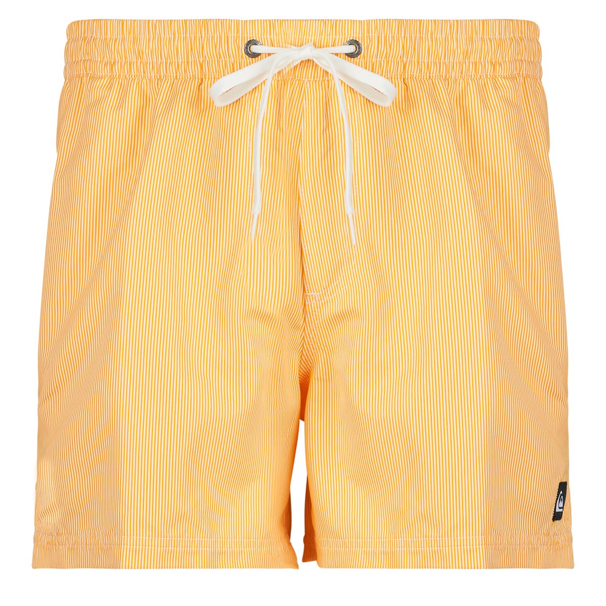 Men's Swimwear Quiksilver Blue