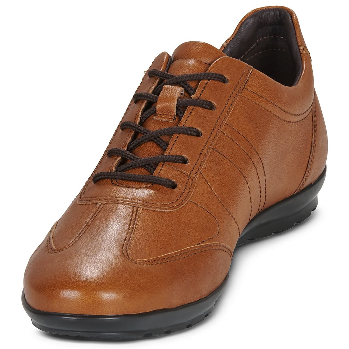 Men's Sneakers Geox Brown