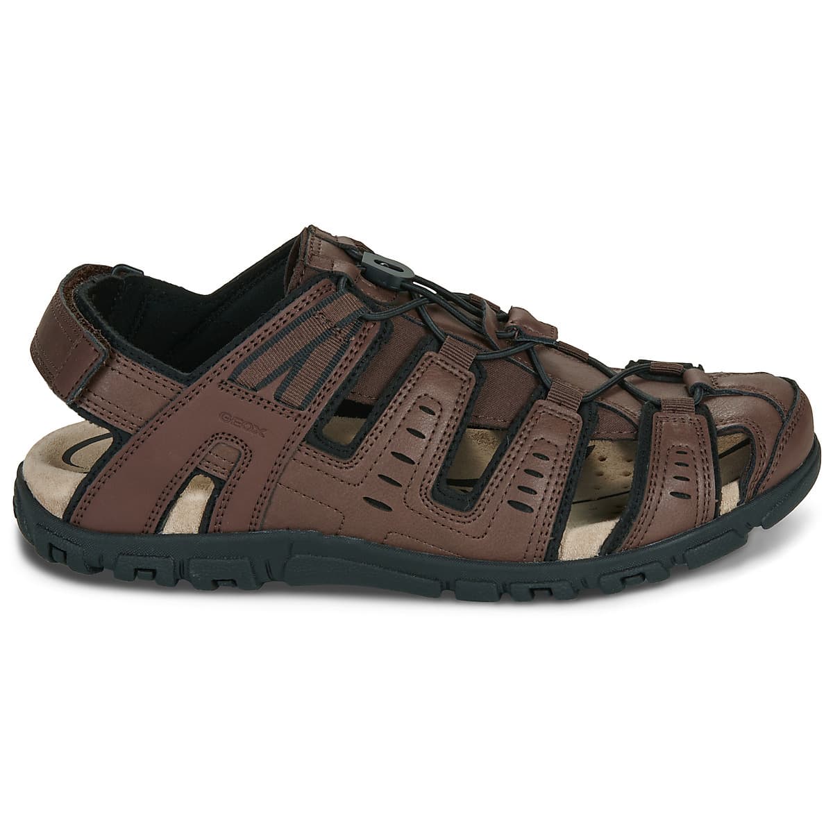 Men's Sandals Geox Brown