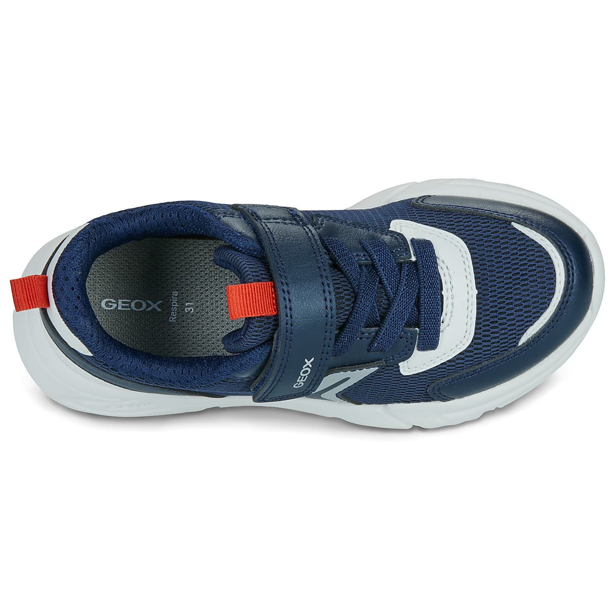 Boys' Sneakers Geox Blue