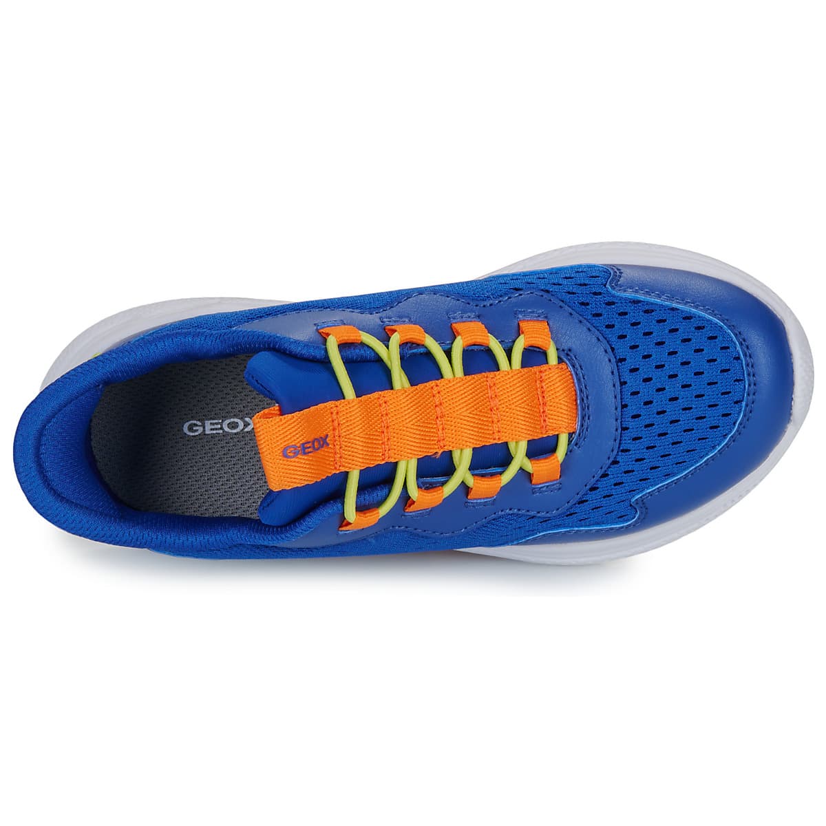 Boys' Sneakers Geox Blue