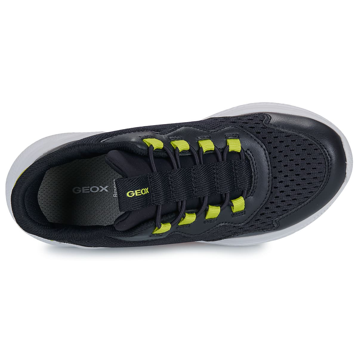 Boys' Sneakers Geox Blue