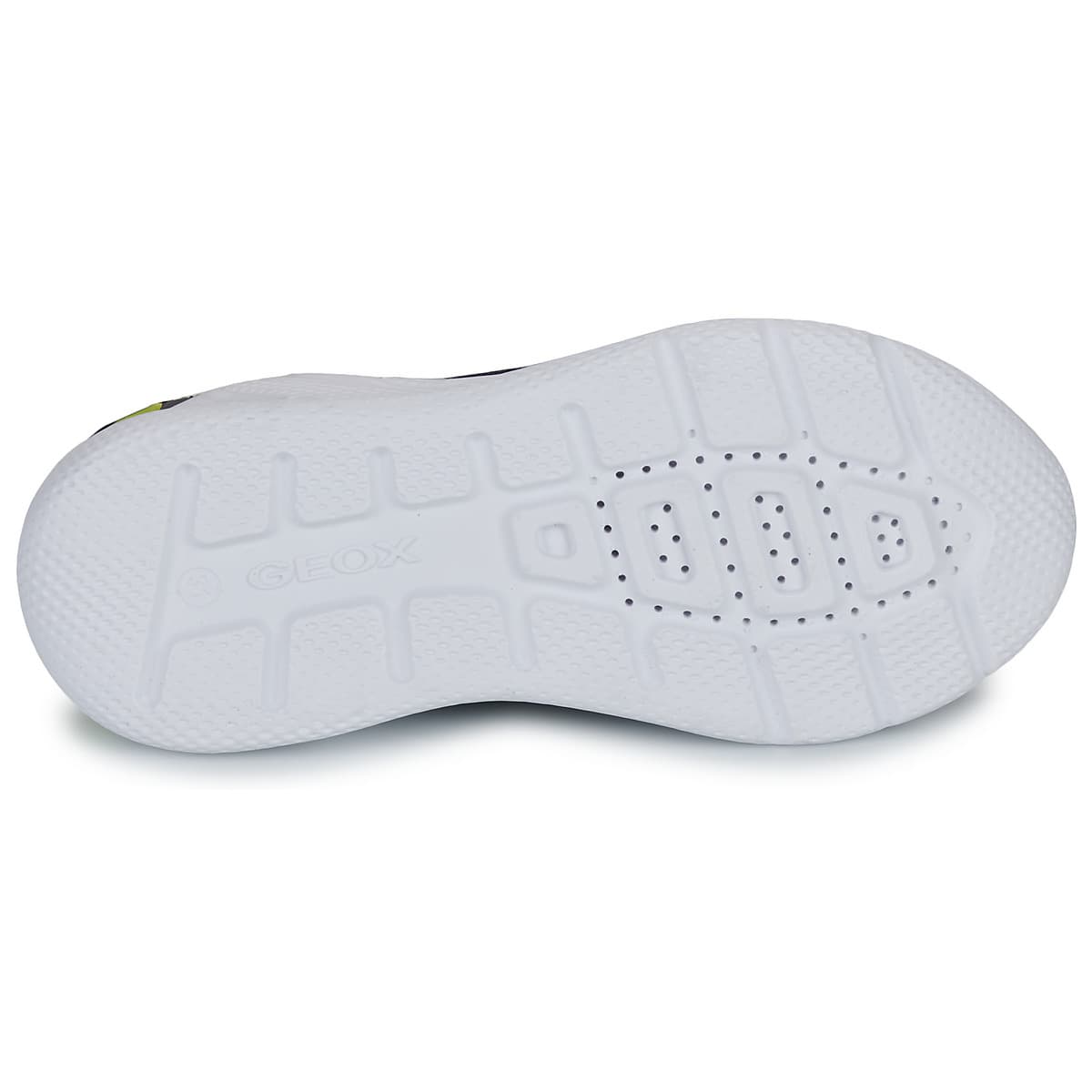 Boys' Sneakers Geox Blue