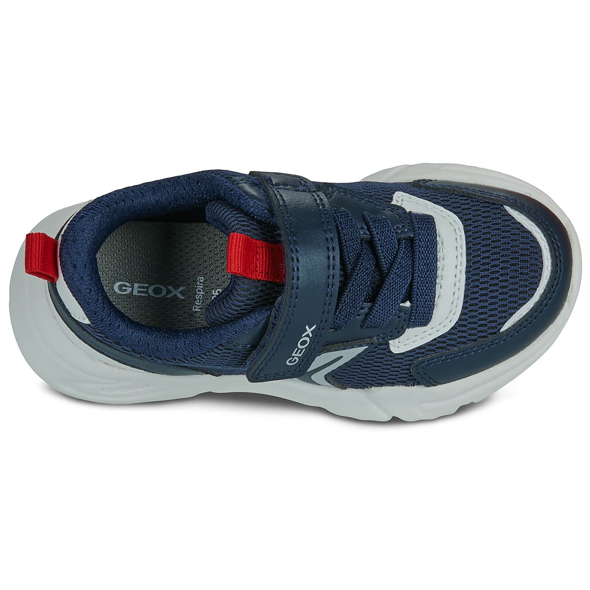 Boys' Sneakers Geox Blue