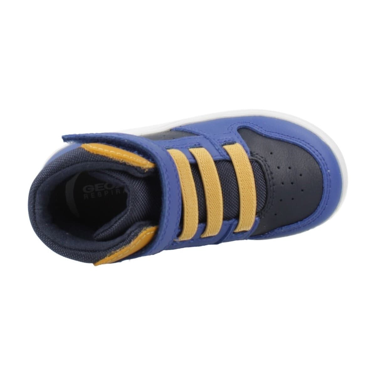 Boys' Sneakers Geox Blue