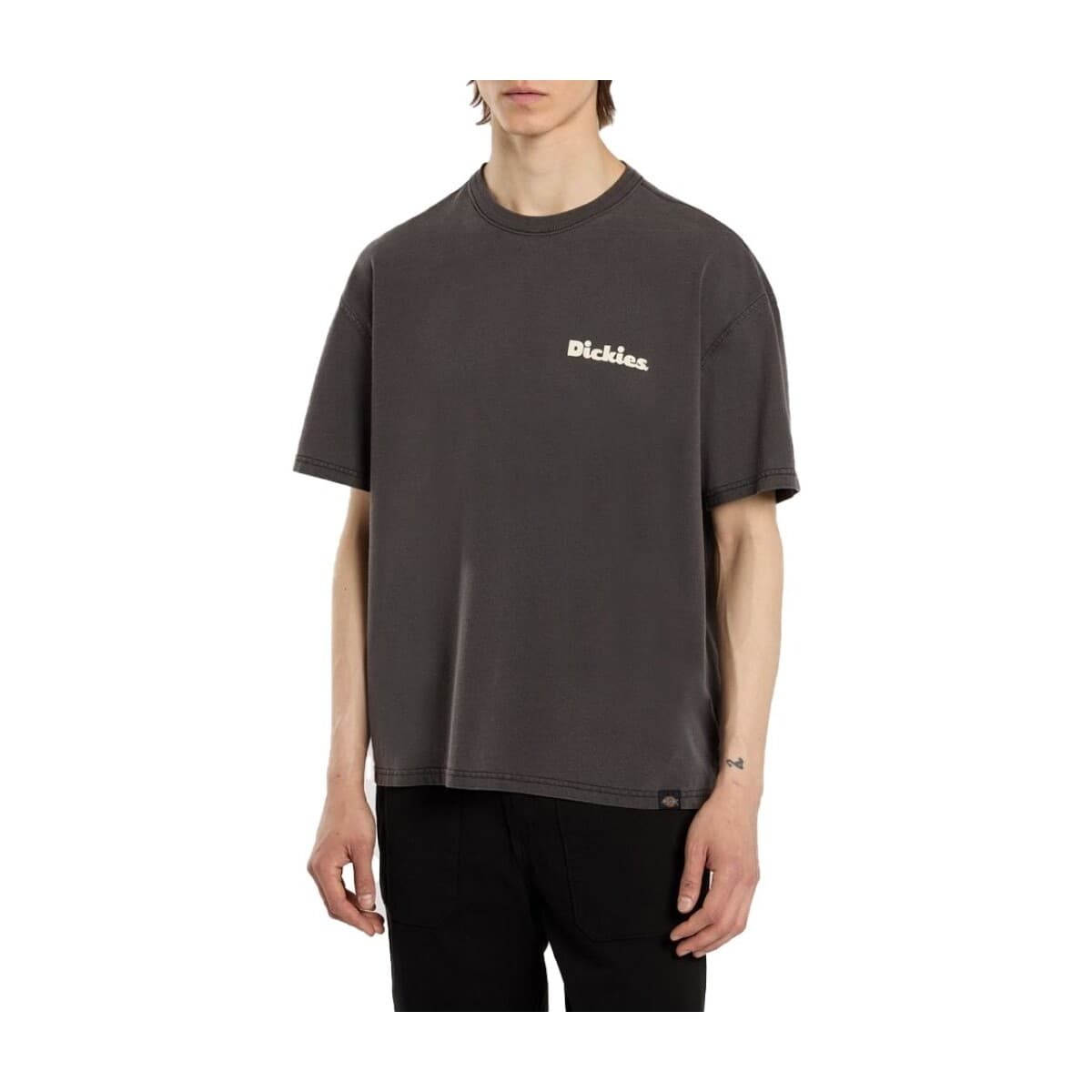 Men's T-Shirts Dickies Brown