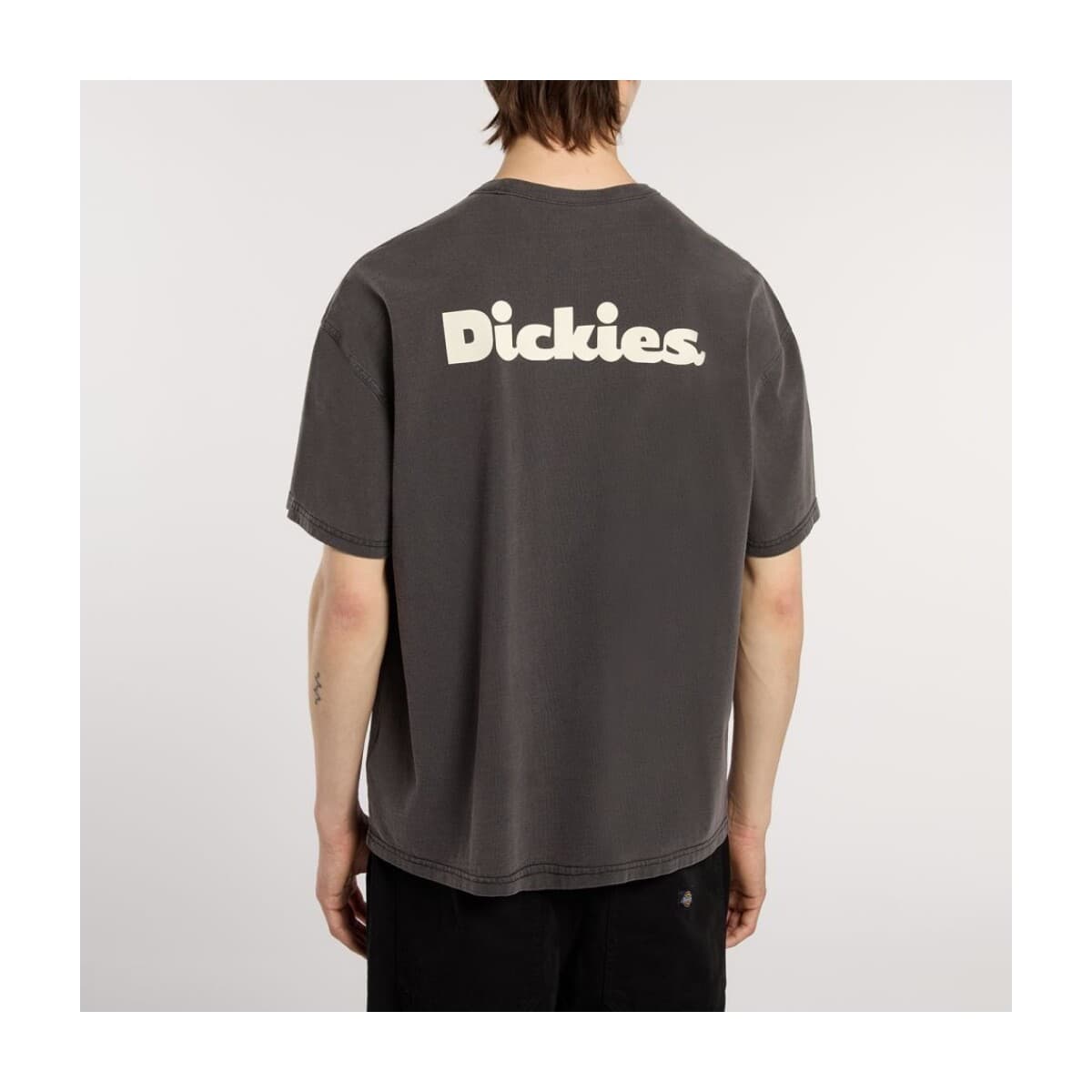 Men's T-Shirts Dickies Brown