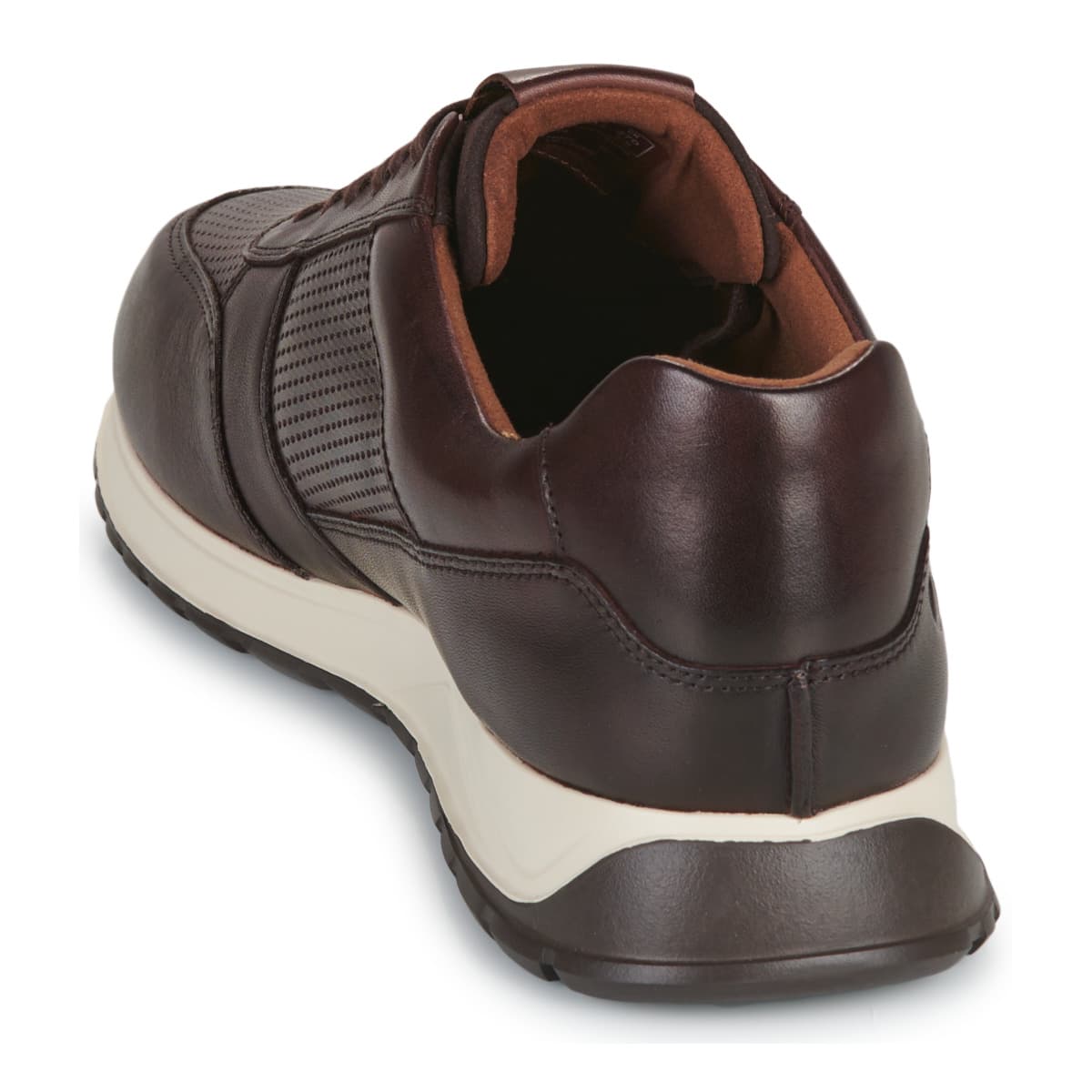 Men's Sneakers Clarks Brown