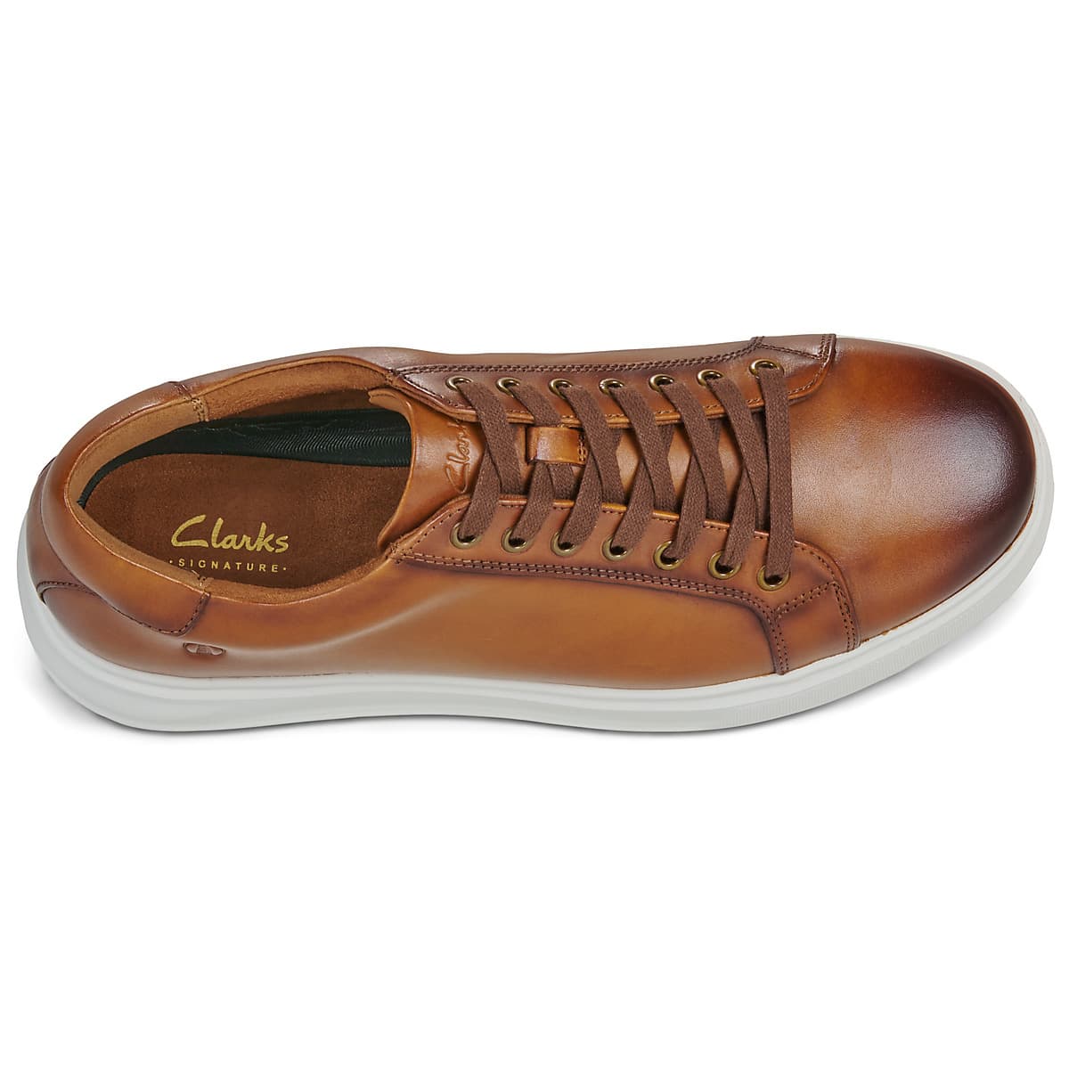 Men's Sneakers Clarks Brown