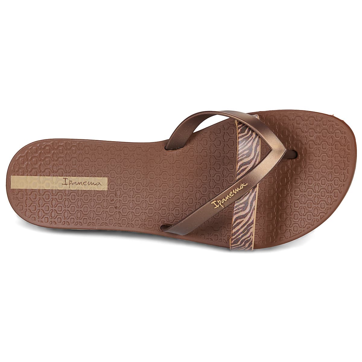 Women's Flip Flops Ipanema Brown