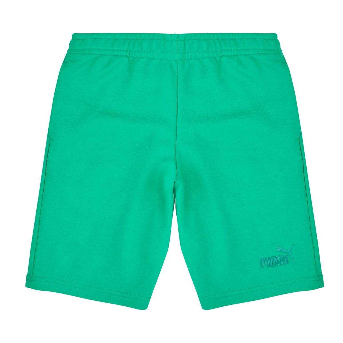 Boys' Shorts Puma Blue