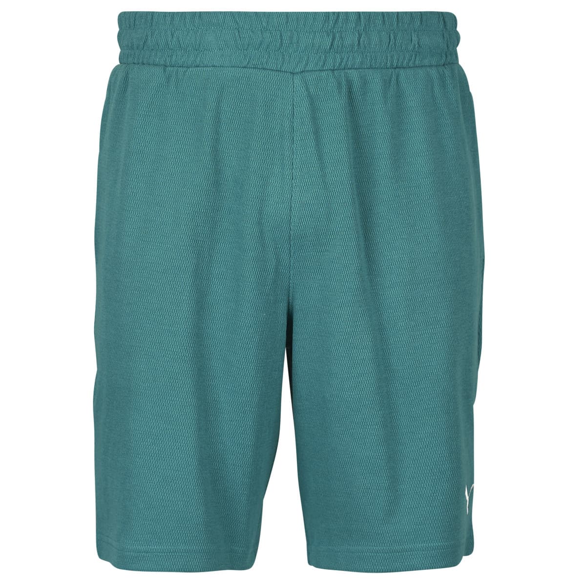 Men's Shorts Puma Green