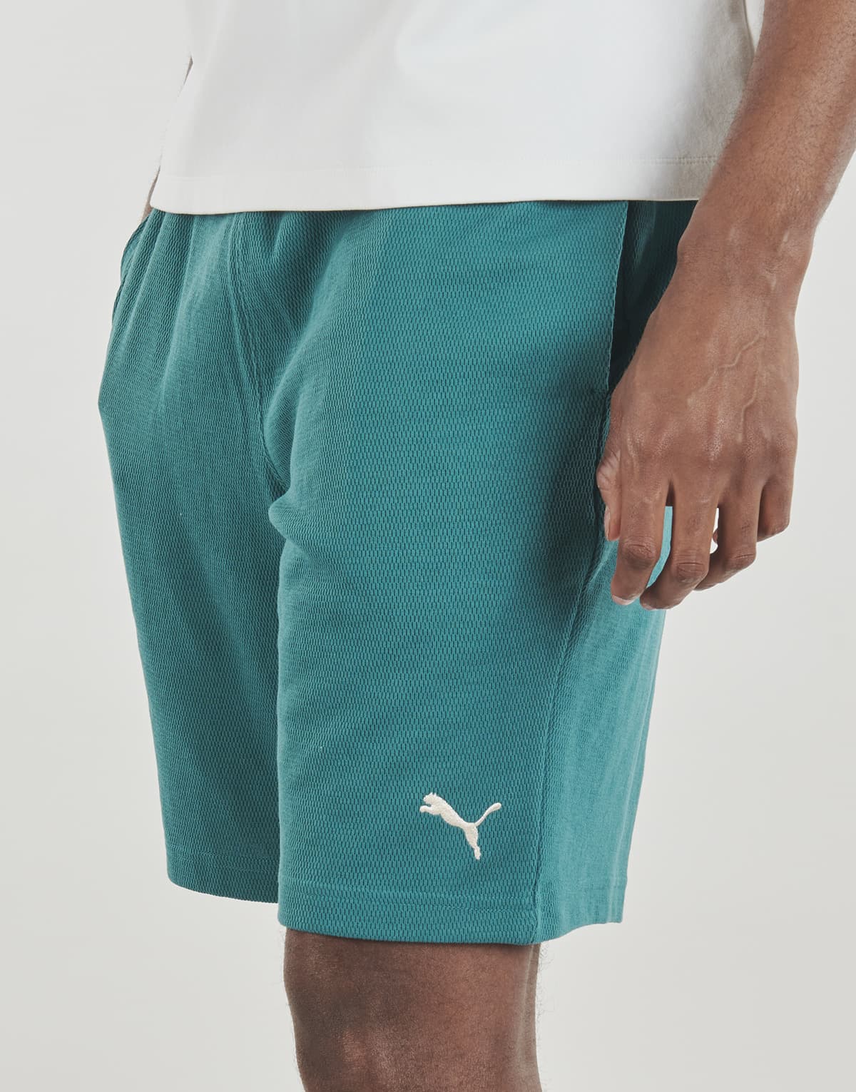 Men's Shorts Puma Green