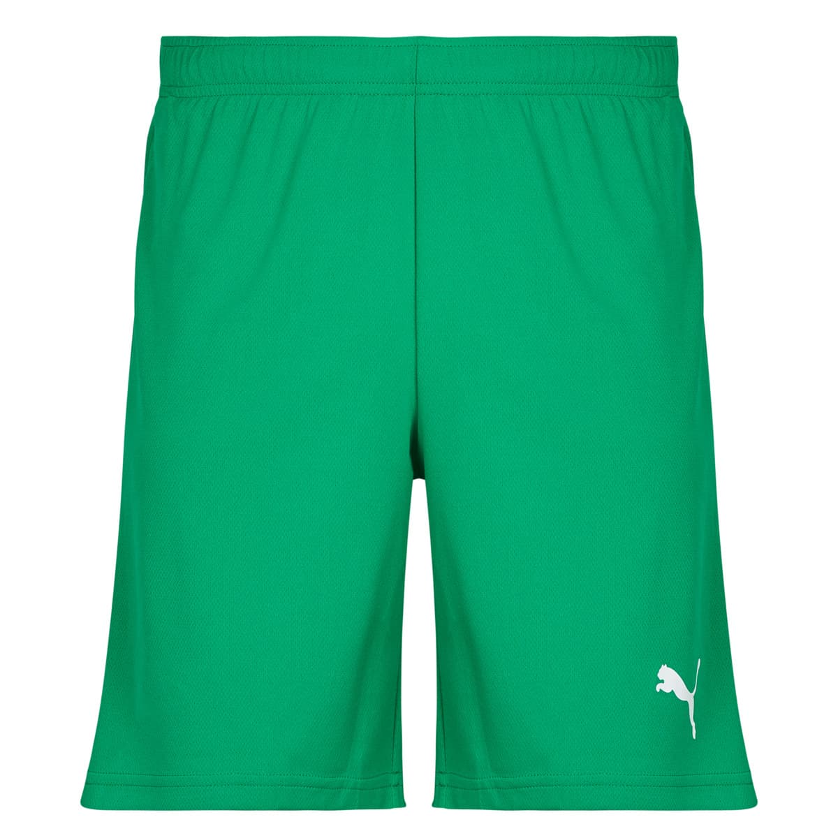 Men's Shorts Puma Blue