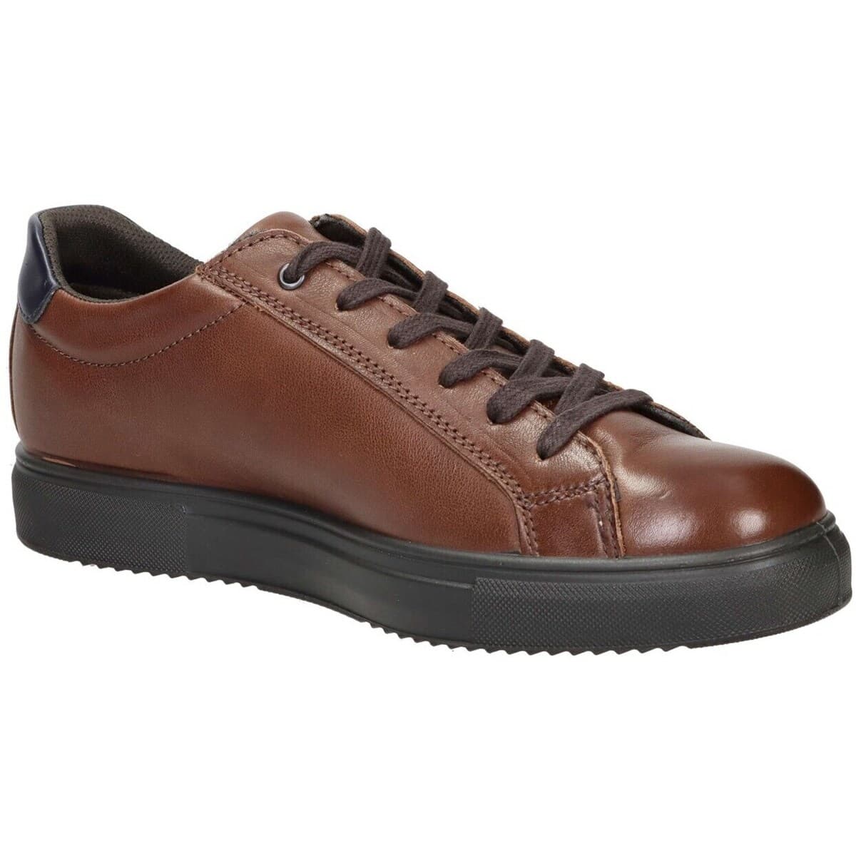 Men's Sneakers Imac Brown