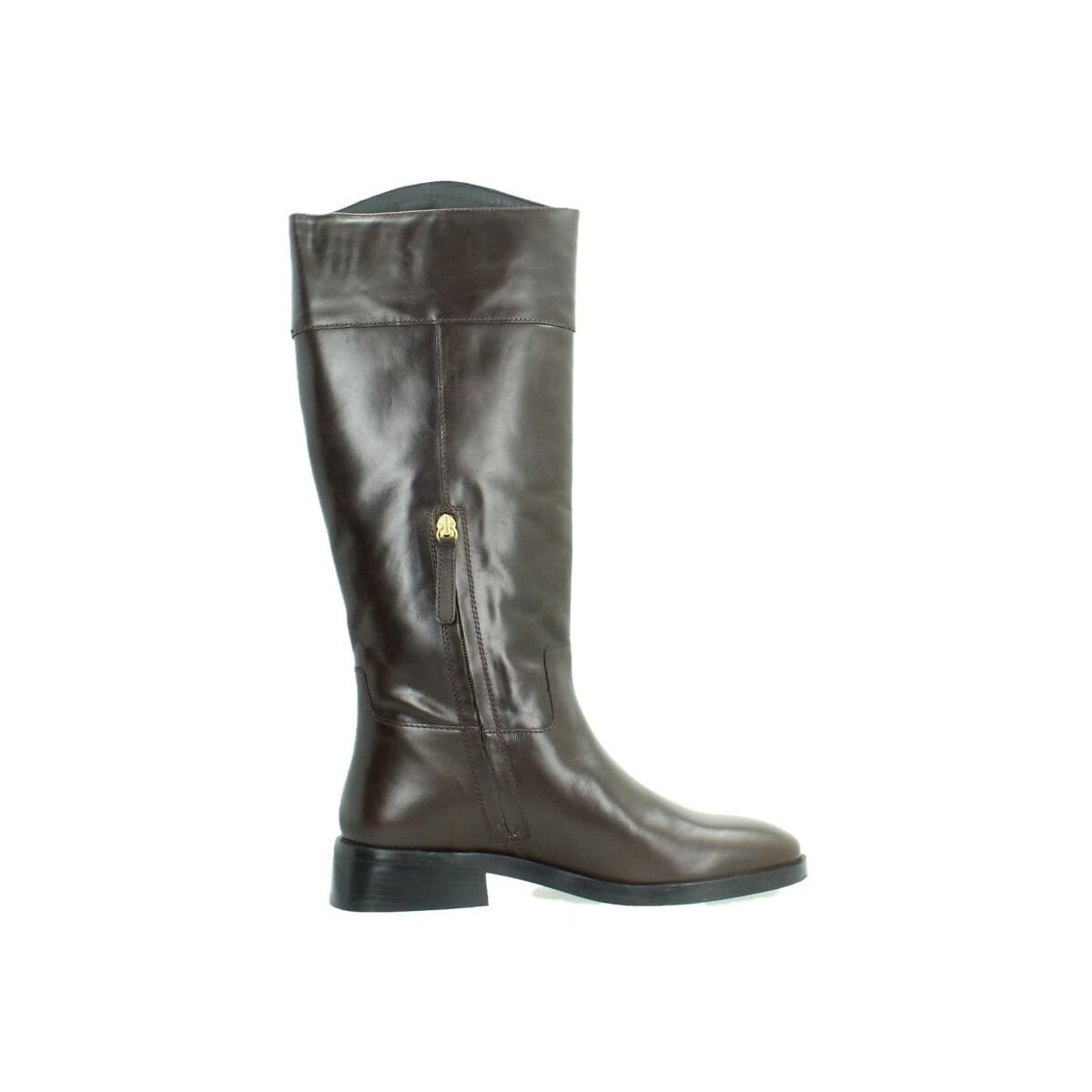 Women's Boots Geox Brown