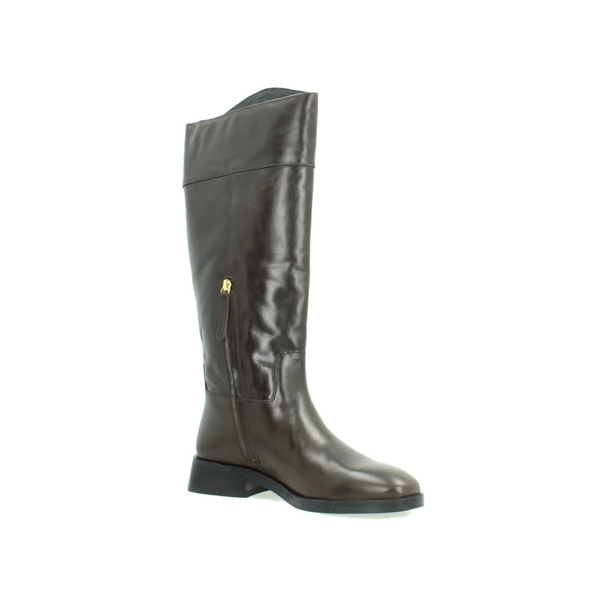 Women's Boots Geox Brown