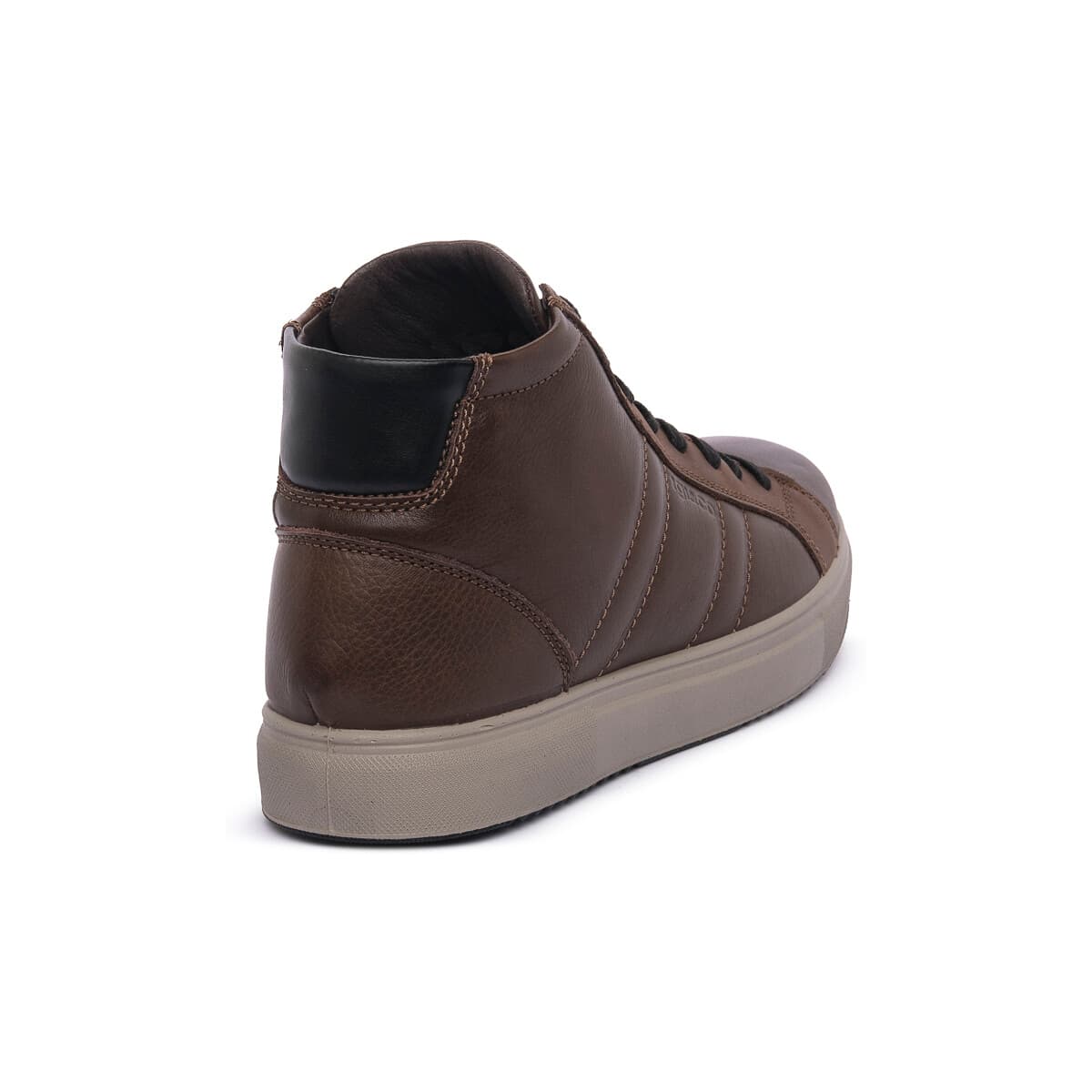 Men's Sneakers IgI&CO Brown