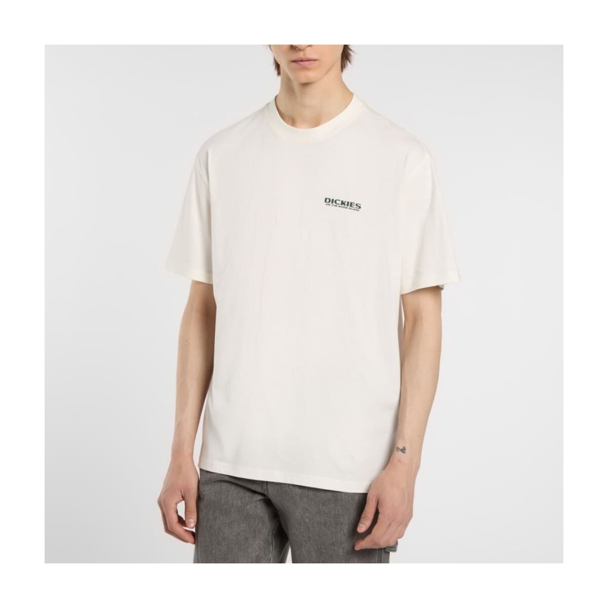 T-shirt με κοντά μανίκια Dickies Camisetas Hombre Modèle Burns Tee