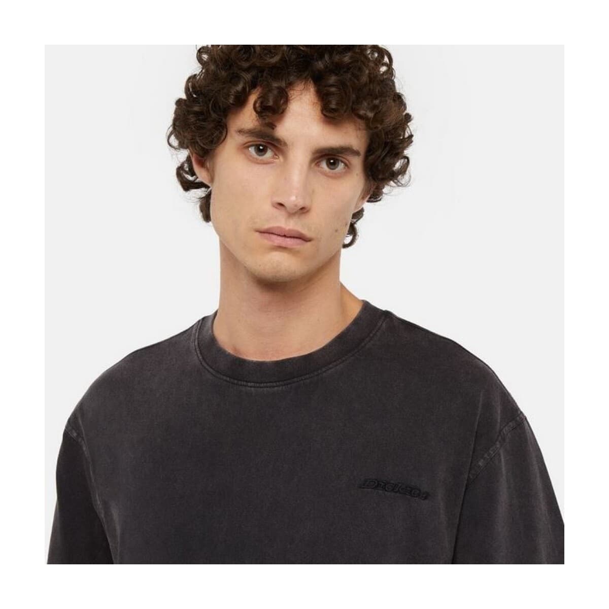 Men's T-Shirts Dickies Brown