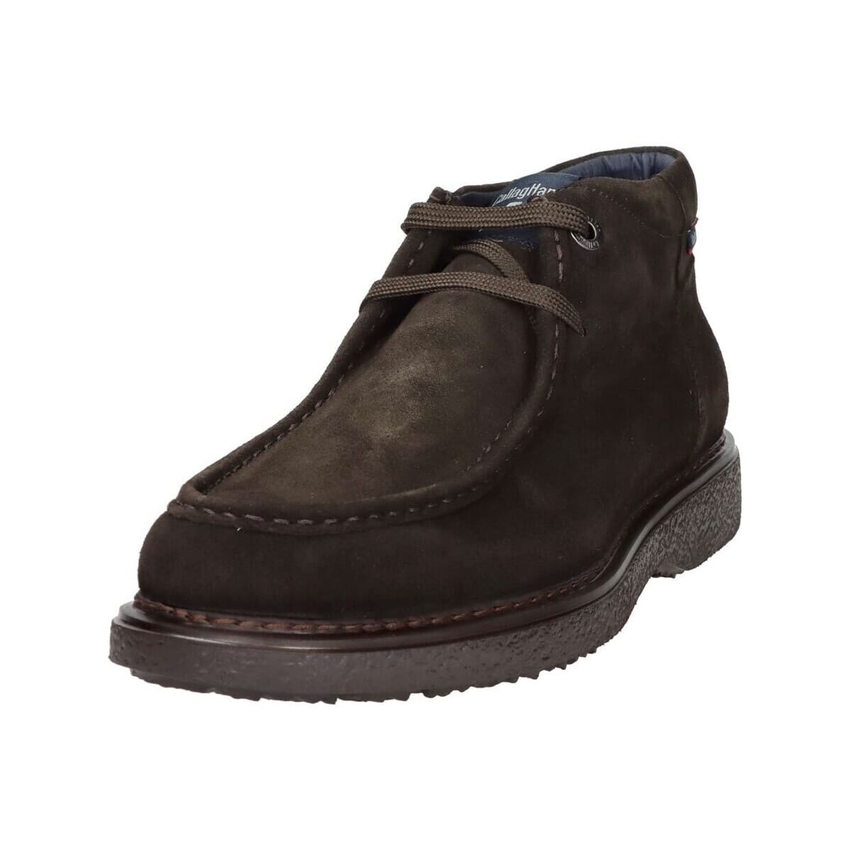 Men's Derby Shoes CallagHan Brown