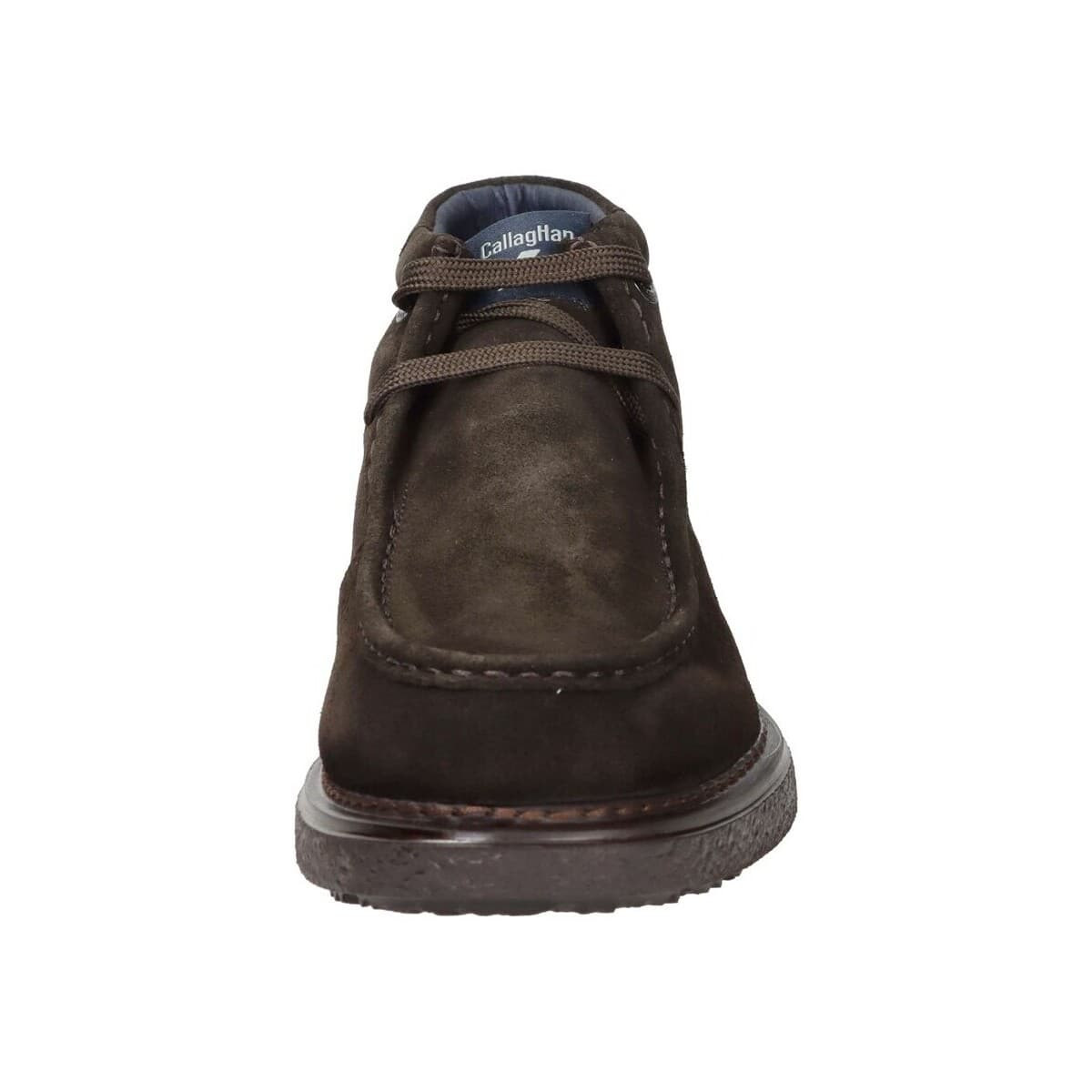 Men's Derby Shoes CallagHan Brown