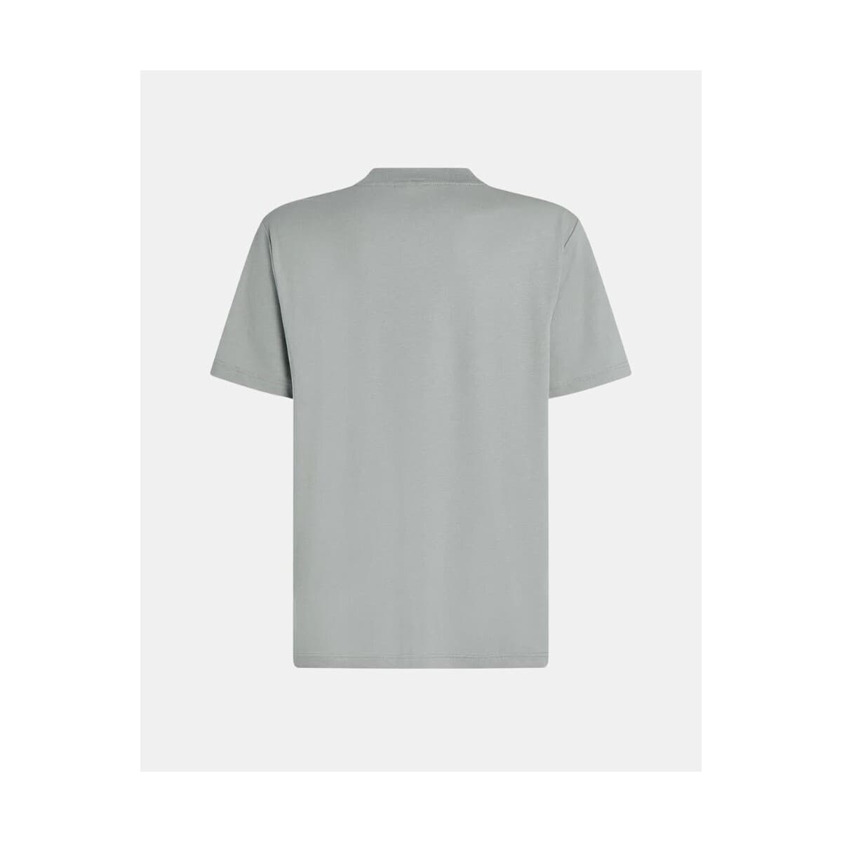 Men's T-Shirts Karl Lagerfeld Gray
