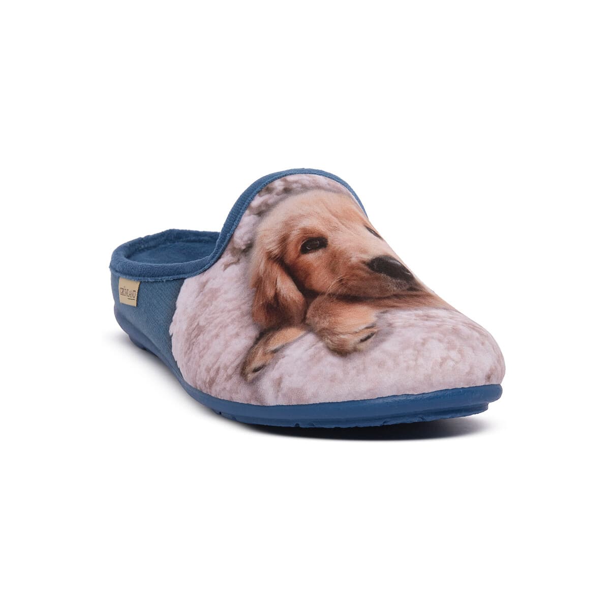 Women's House Slippers Grunland Blue