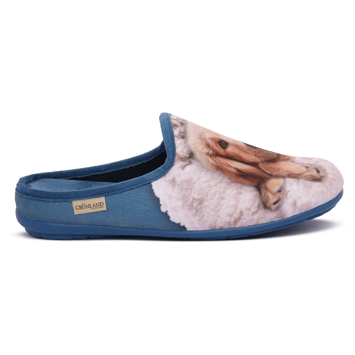 Women's House Slippers Grunland Blue