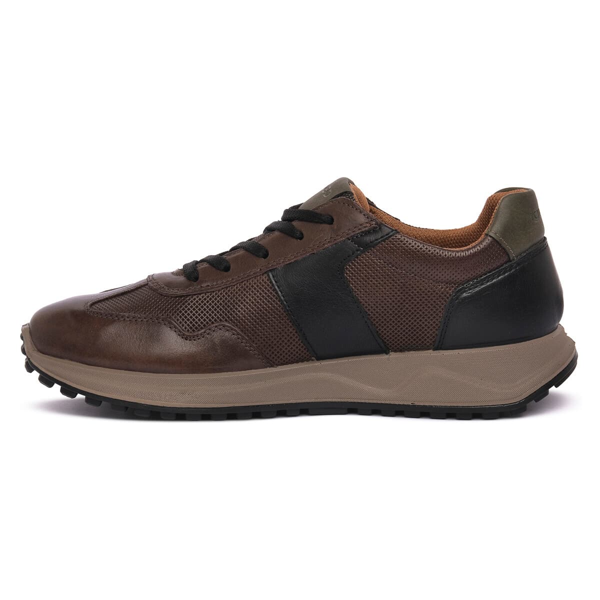 Men's Sneakers IgI&CO Brown