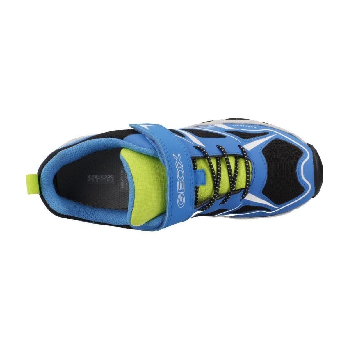 Boys' Sneakers Geox Blue