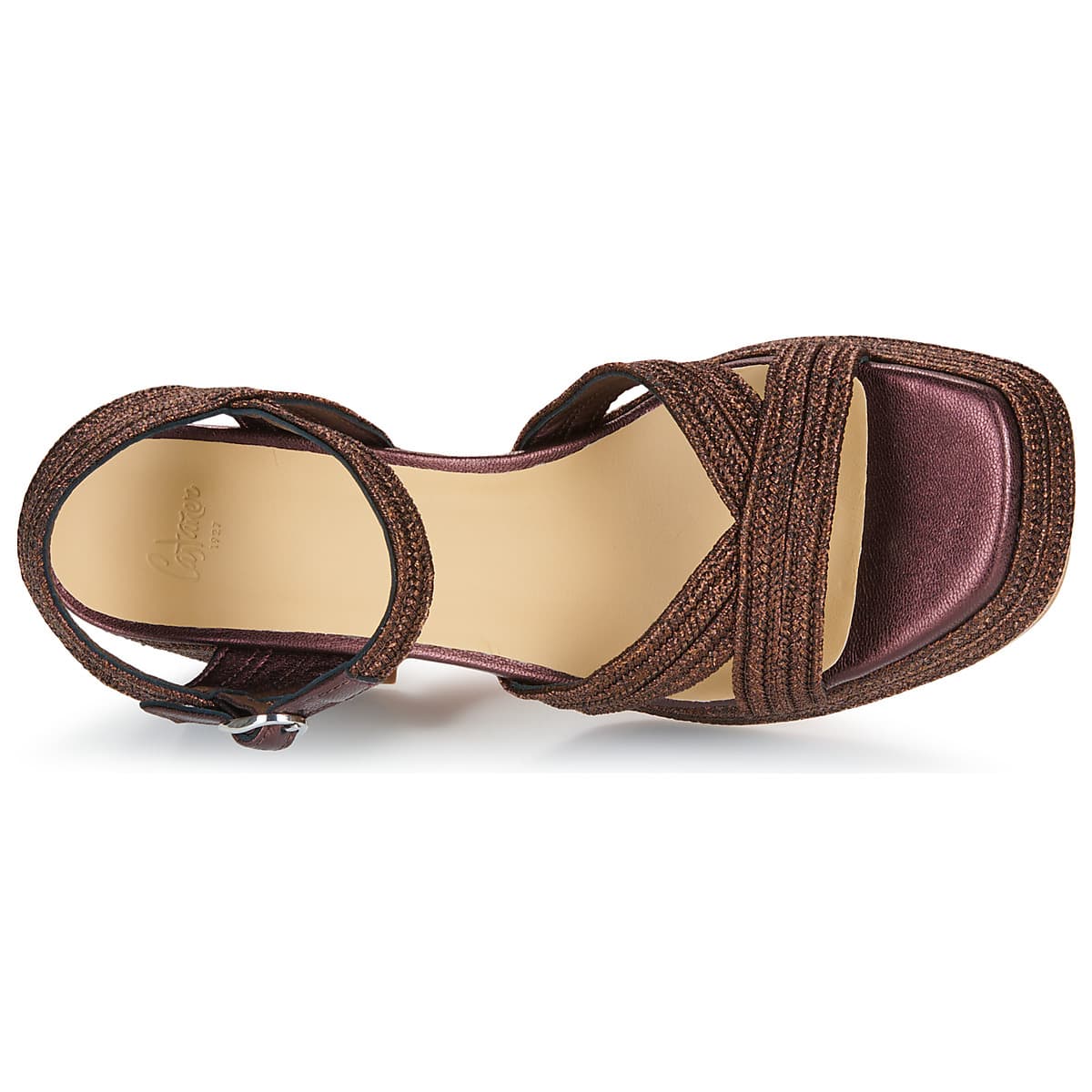 Women's Pumps Castaner Brown