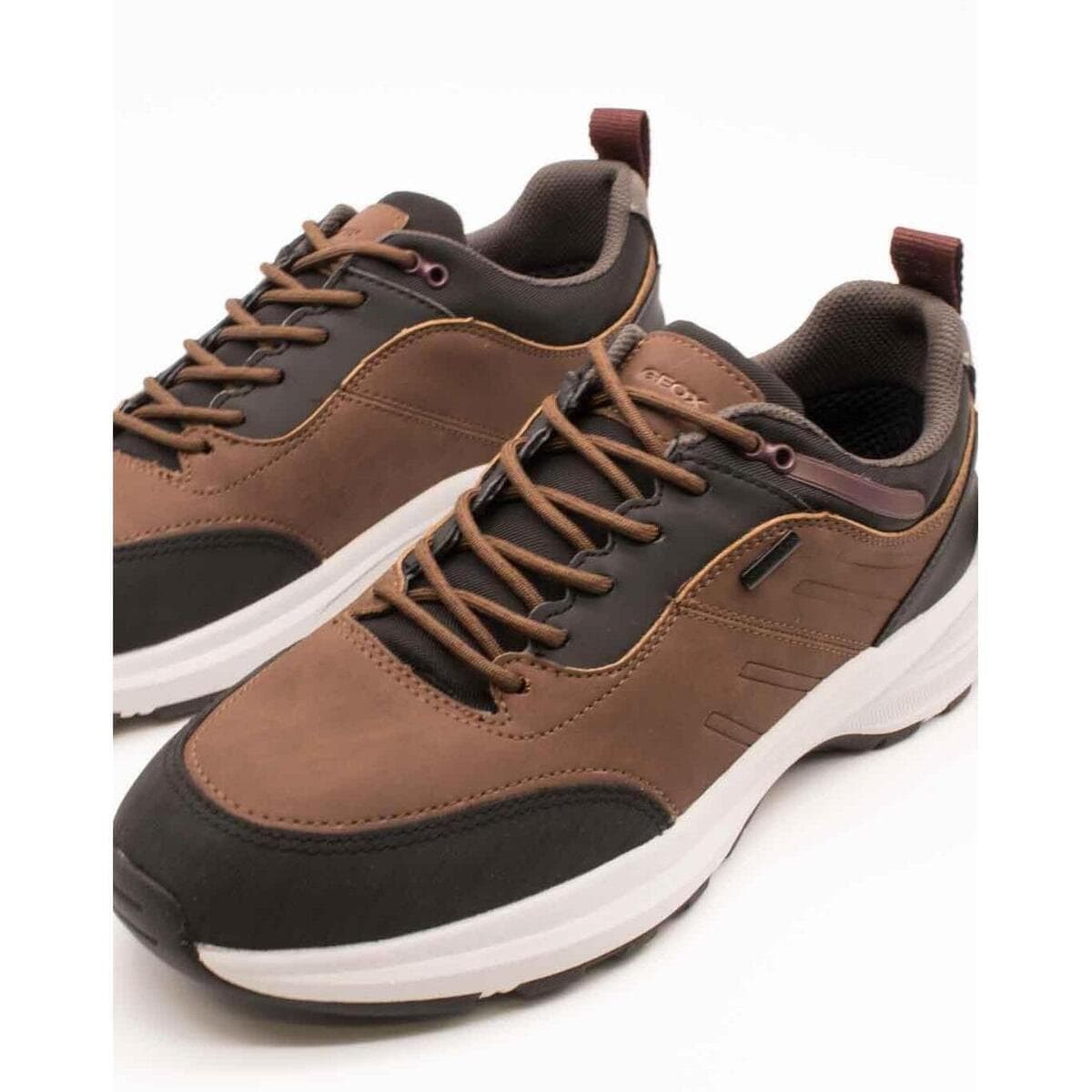 Men's Sneakers Geox Brown