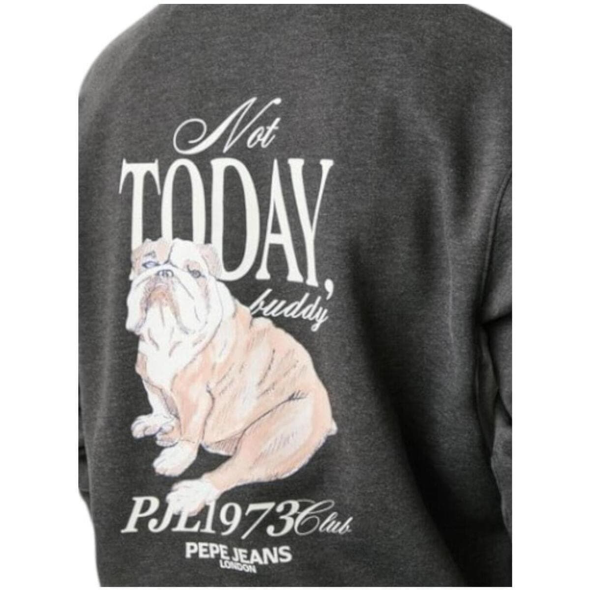 Men's Sports T-Shirts Pepe Jeans Gray