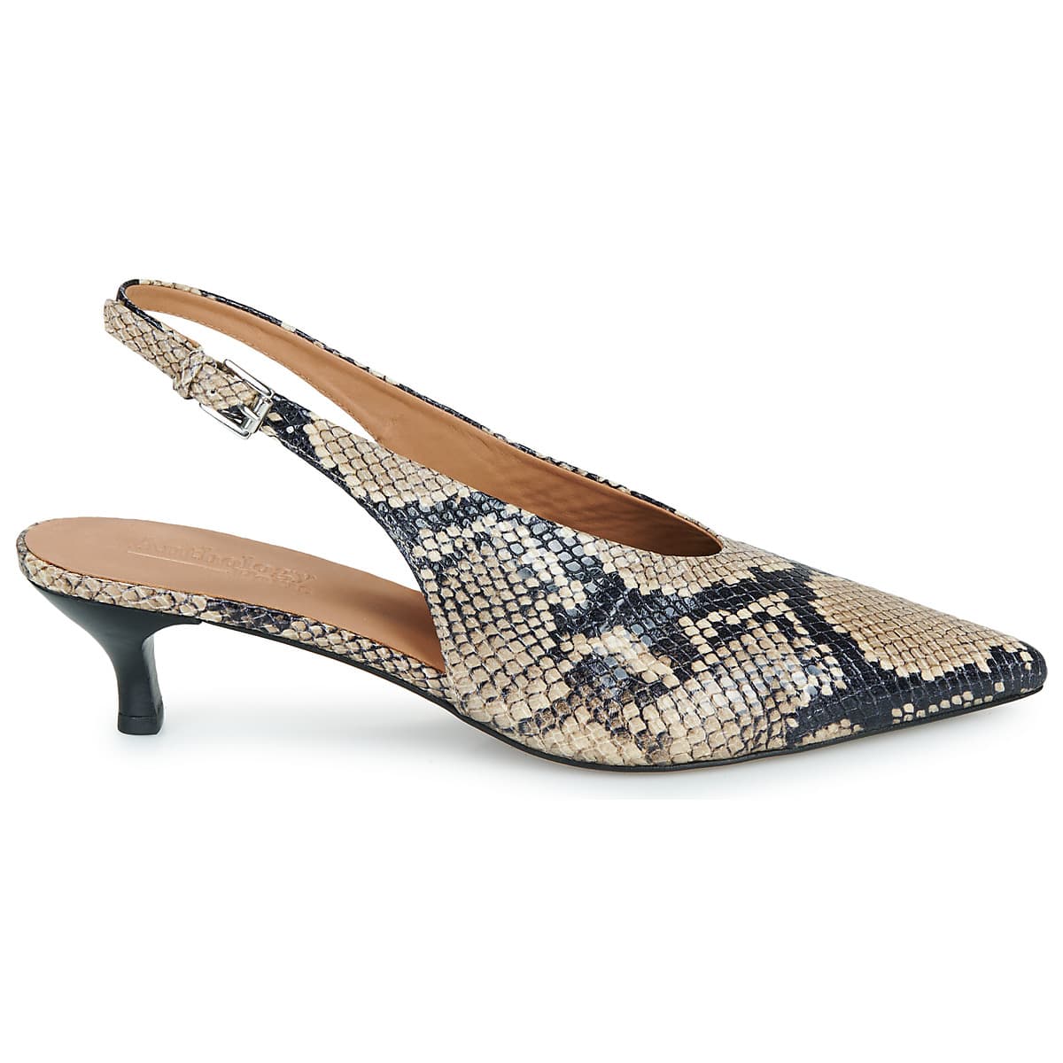 Women's Pumps Anthology Paris Multicolor