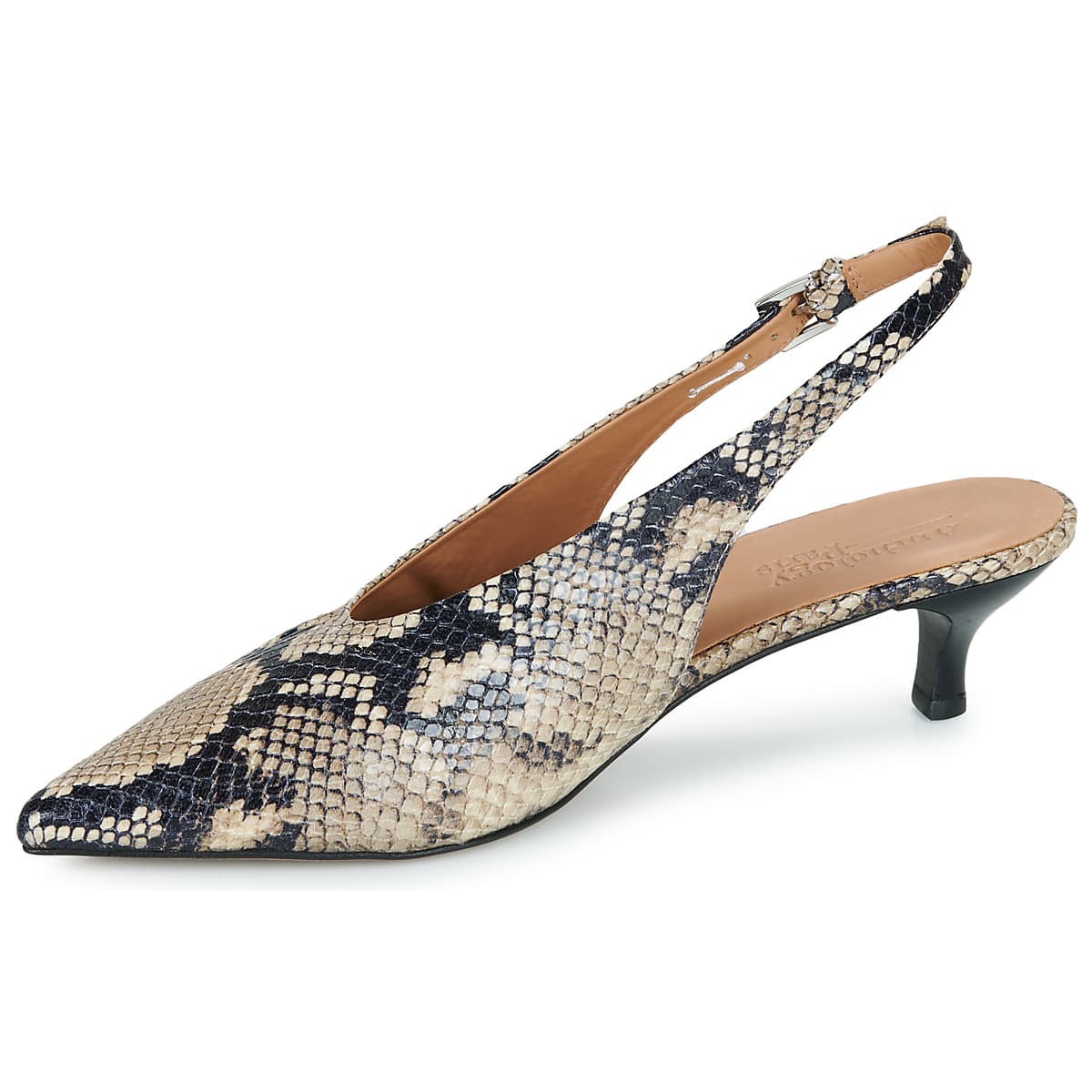 Women's Pumps Anthology Paris Multicolor