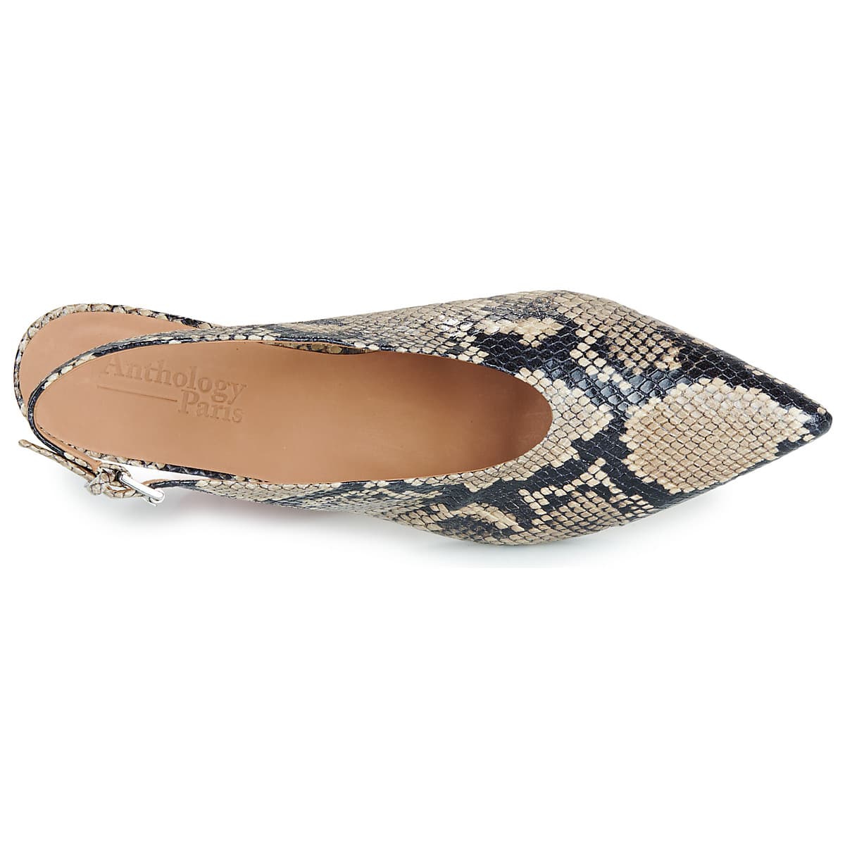 Women's Pumps Anthology Paris Multicolor