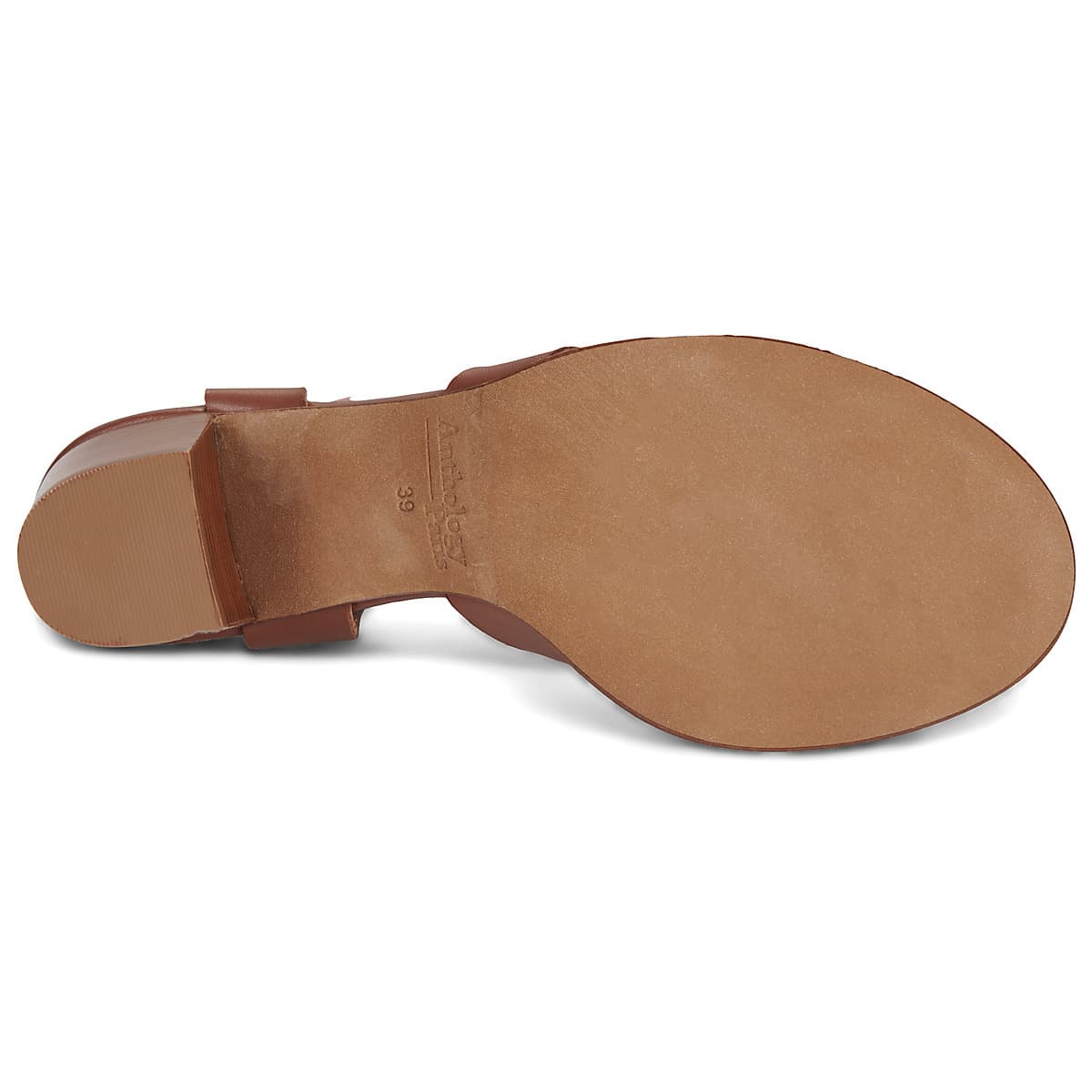 Women's Pumps Anthology Paris Brown