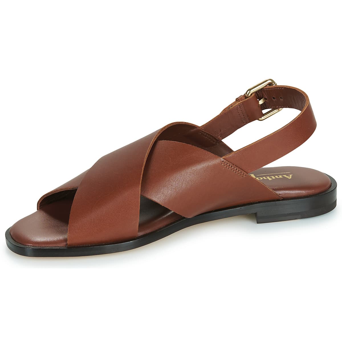Women's Sandals Anthology Paris Brown